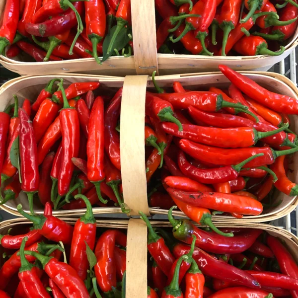 Piment fort bio - Cayenetta